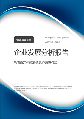 樂清市匯控經(jīng)濟信息咨詢服務(wù)部 企業(yè)定位、業(yè)務(wù)發(fā)展與市場前景分析報告
